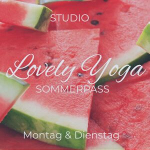 LY Sommerpass
