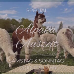 Alpaka Auszeit