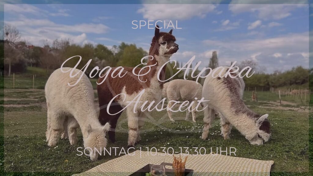 Yoga und Alpaka Sonntag
